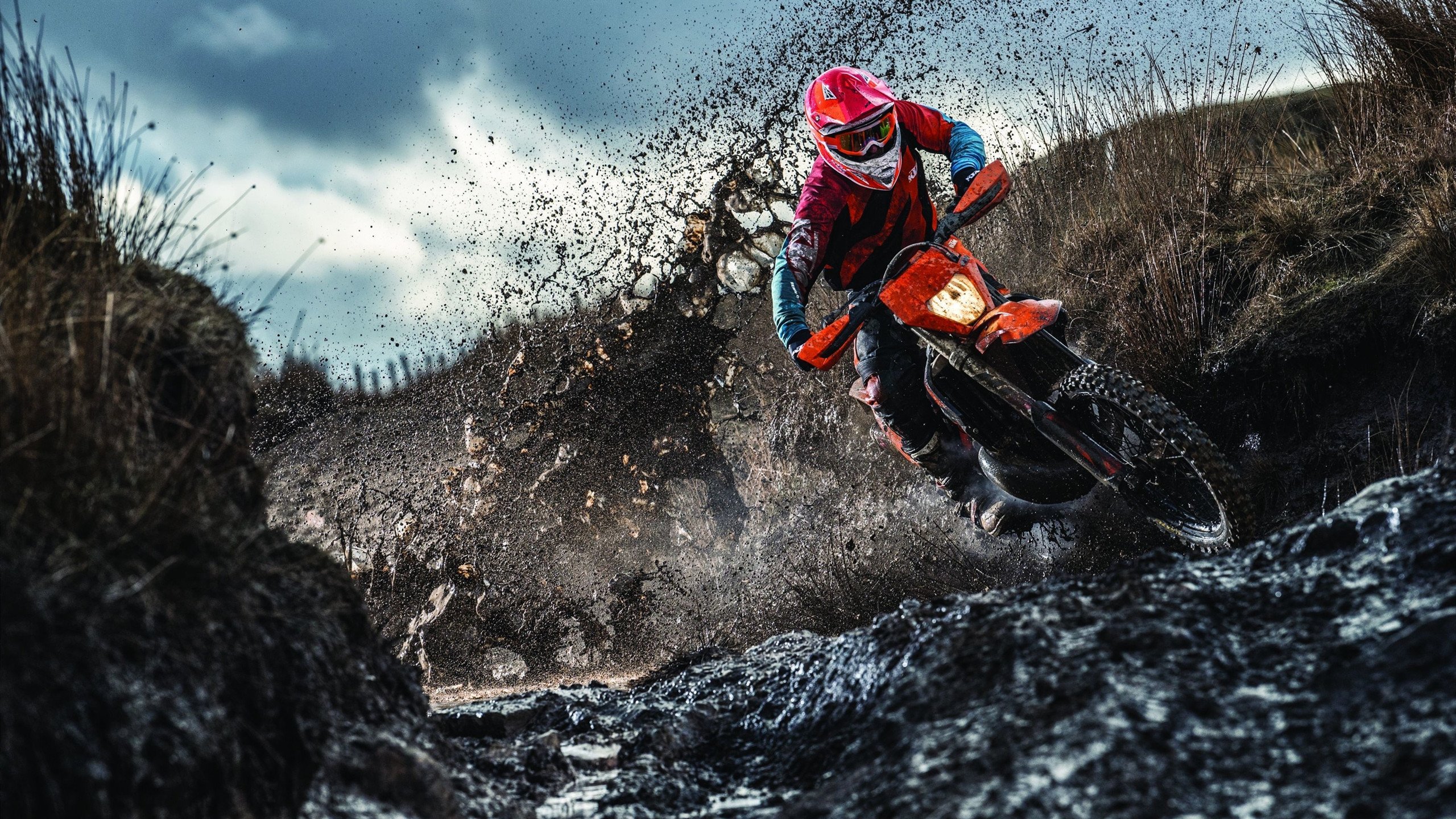 阿恩斯鲁勇夺胜利，迎接战斗欧塞尔，阿恩沙尔